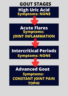 gout stages