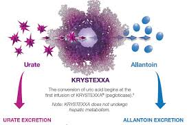 krystexx swfl infusion center