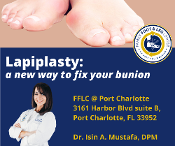 LAPIPLASTY florida