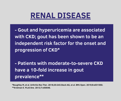 gout and renal disease